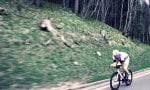 sportsman-on-the-bike