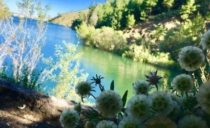 yaprakli-belediyesi-yesil-golet-tesisleri-mesire-alani