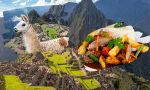 Machu Picchu - Lomo Saltado - Alpaka