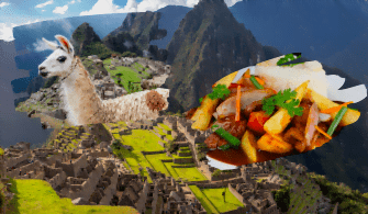 Machu Picchu - Lomo Saltado - Alpaka