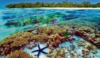 methode2ftimes2fprod2fweb2fbin2fe7913dfc-31cc-11e8-9cf6-8fd69d6da6df