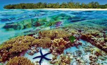 methode2ftimes2fprod2fweb2fbin2fe7913dfc-31cc-11e8-9cf6-8fd69d6da6df