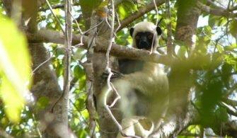 site_0494_0003-500-375-20151105121946