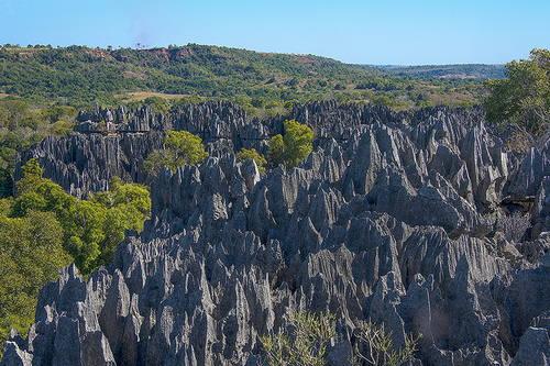 Tsingy de Bemaraha Strict Nature Reserve (Madagascar)