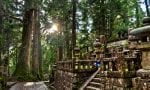 temple-light