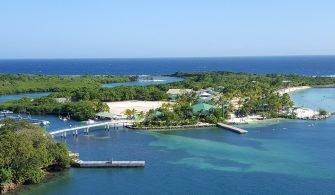 view-from-the-cruise
