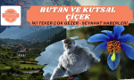Butan ve Kutsal Çiçek Seyahat Haberleri