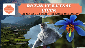 Butan ve Kutsal Çiçek Seyahat Haberleri