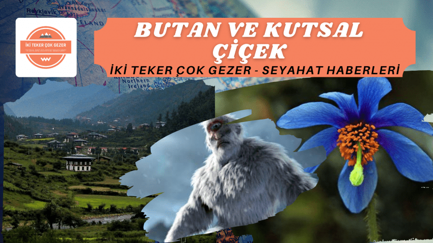 BUTAN VE KUTSAL Ç?ÇEK