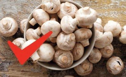 mantar?n spora faydas?