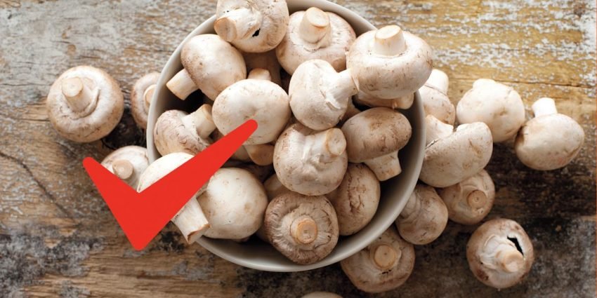 Mantarların Bisikletçilerin Sağlığına Faydalar?