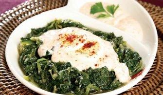 zirz-92ddb157-64cf-4325-9932-fe77adba14aa