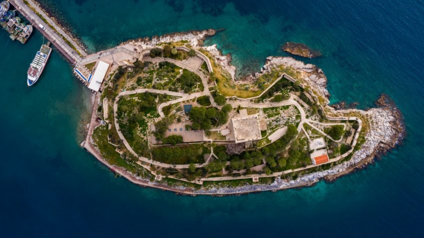 Güvercinada Kalesi’nin Kuşları