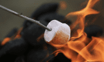 Marshmallow