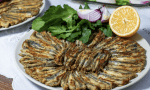 Hamsi-Tava