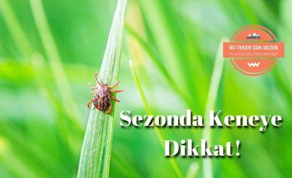 Sezonda-Keneye-Dikkat