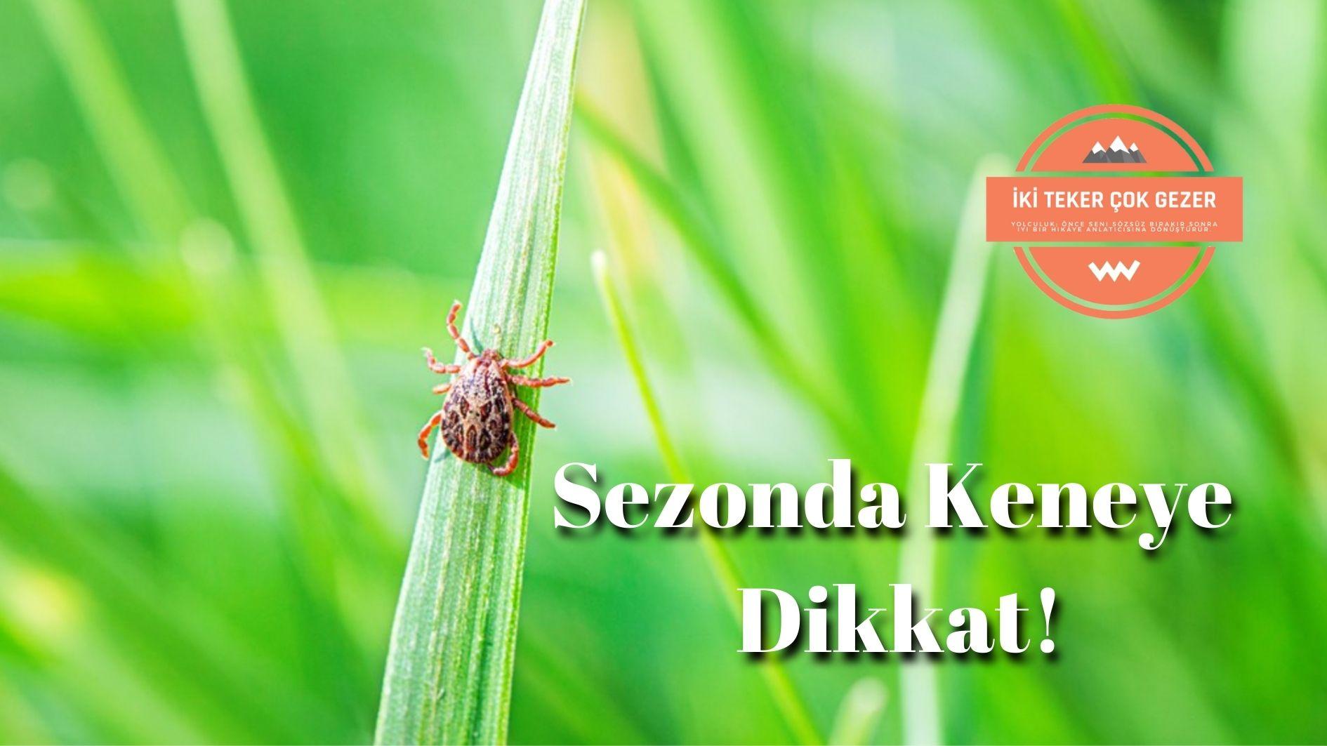 Sezonda-Keneye-Dikkat