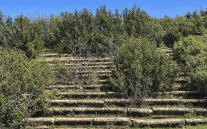 Sidas-Antik-Kenti