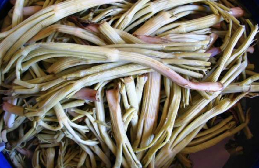 Cağ Salamurası Evde Nasıl Yapılır?