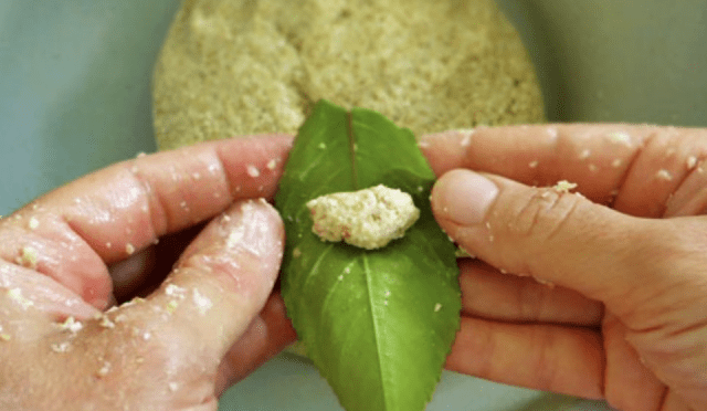 Kiraz-Yapraği-Sarmasi