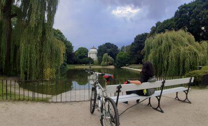 Seleye-Geri-Dönün-–-Topluluğunuzla-Bağlanti-Kurun