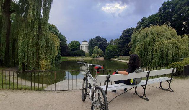 Seleye-Geri-Dönün-–-Topluluğunuzla-Bağlanti-Kurun