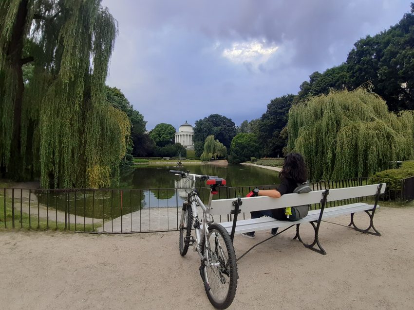 Seleye Geri Dönün – Topluluğunuzla Bağlantı Kurun