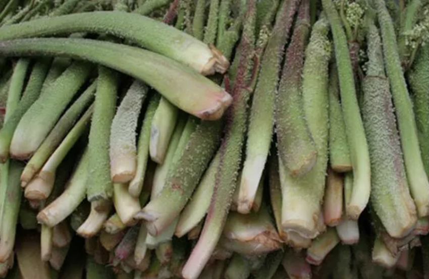 Uçkun Evde Nasıl Yapılır?