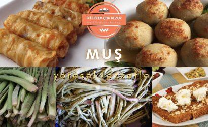 muş yöresel yemekler