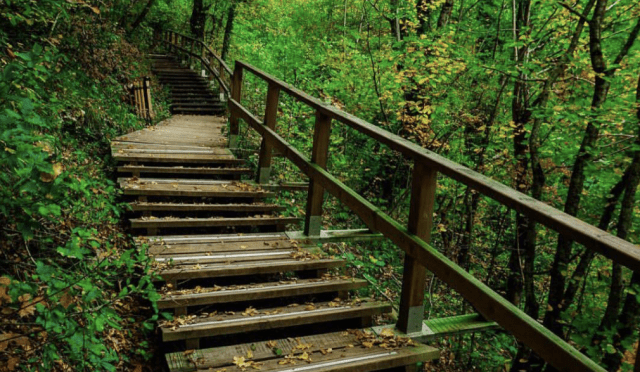 Erfelek-Tatlica-Şelalesi